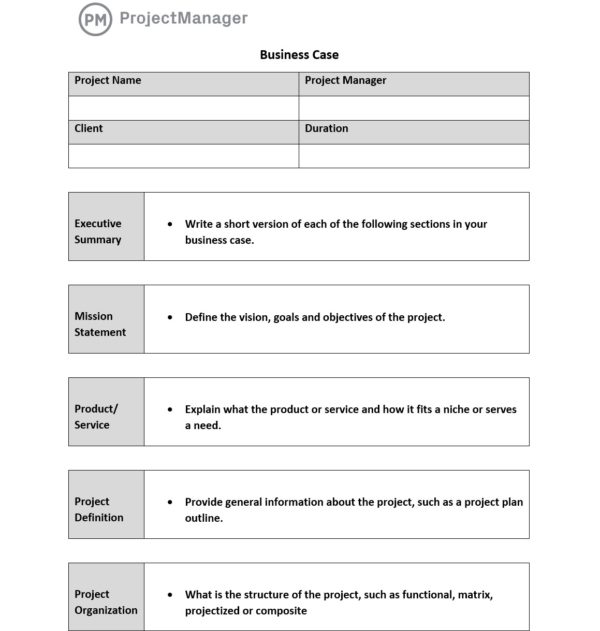 Business Case Paper Template